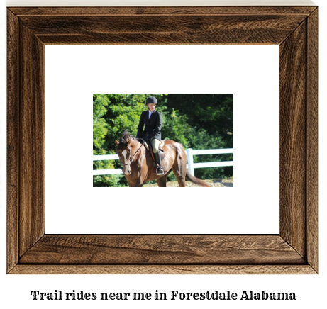 trail rides near me in Forestdale, Alabama